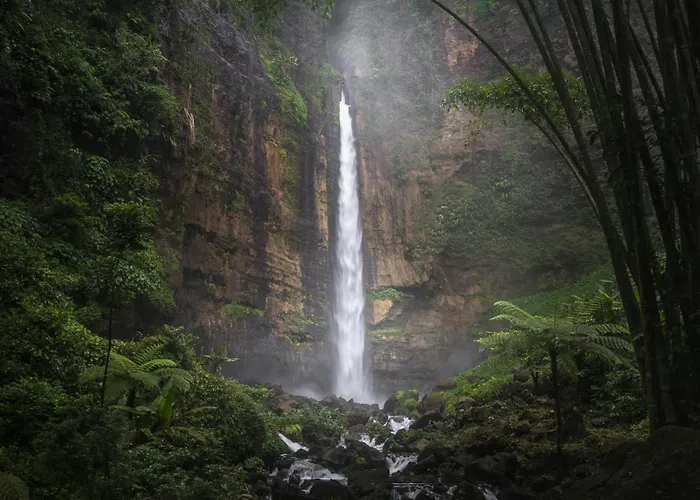 Clove Munduk (Bali)