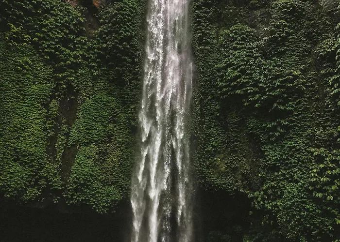 Clove * Munduk (Bali)